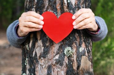 Female human arms embracing a tree trunk in forest, holding heart shaped paper. Save planet